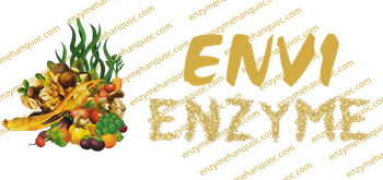 Envi Enzyme Hàn Quốc