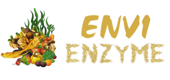 Envi Enzyme Hàn Quốc